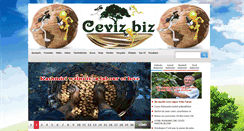 Desktop Screenshot of ceviz.biz