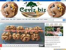 Tablet Screenshot of ceviz.biz